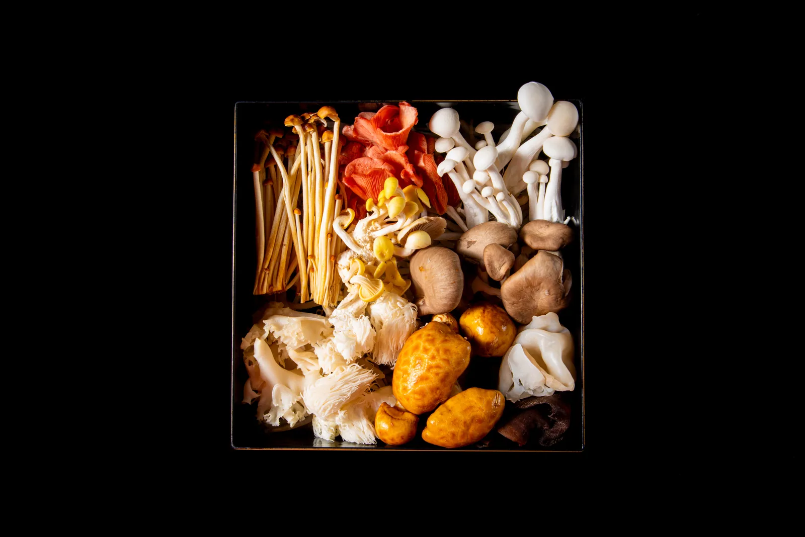 黑色方盘上铺满的十种珍稀菌菇。金针菇、白玉菇、绣球菌、金顶侧耳等按颜色排列